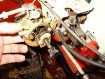 Carb_Transplant.JPG